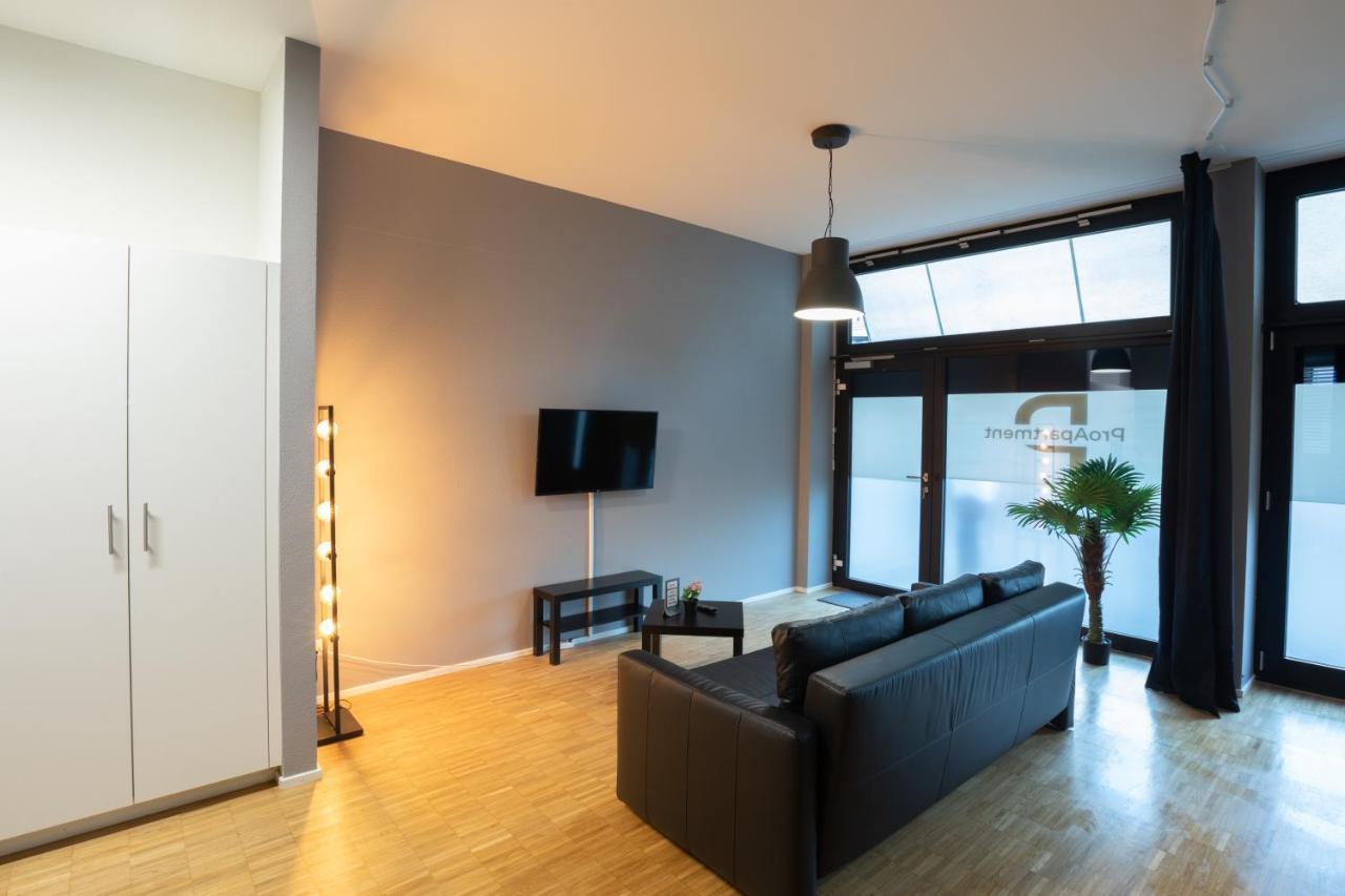 Proapartment Bazel Buitenkant foto